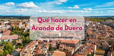 Vista aérea de un área recreativa en Aranda de Duero