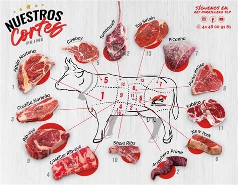 Cortes de carne para estofar
