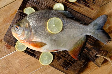 Palometa rosa fresca en hielo