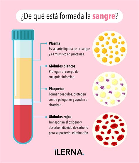 Esquema de la composición de la lactosa