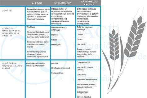 Diferencias entre alergia e intolerancia al gluten