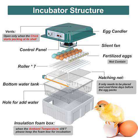 Esquema de las partes de una incubadora automática de huevos