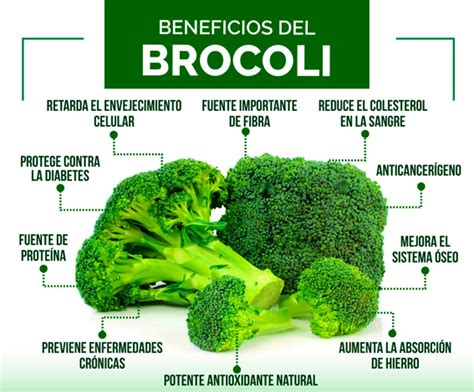 Brócoli y sus beneficios para la salud infantil