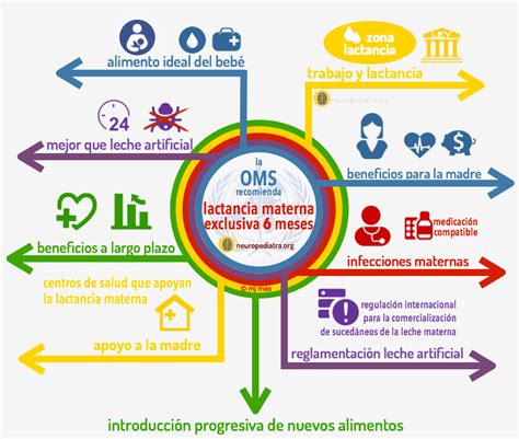 Recomendaciones de la OMS sobre lactancia materna y alimentación complementaria