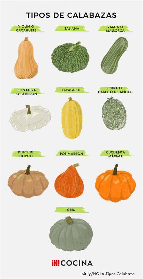 Calabazas de diferentes tipos