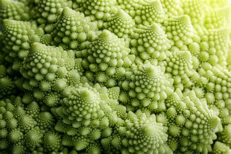Ilustración de la estructura fractal del romanesco