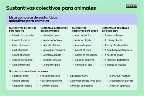 Ilustración de diferentes sustantivos colectivos de animales