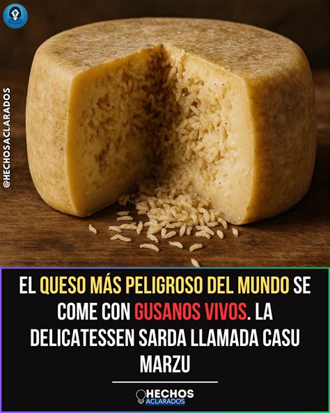 Infografía: 