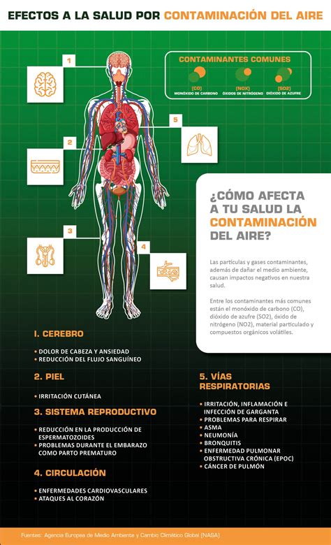 Infografía: cómo afecta la variedad de arroz al resultado de la paella