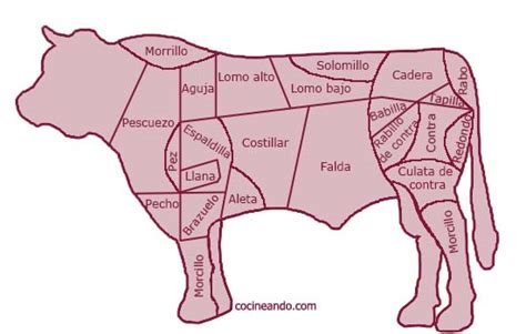 Ilustración de las diferentes partes de la ternera