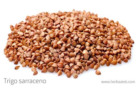 Granos de trigo sarraceno