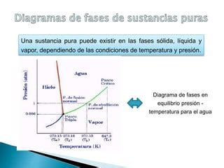 Diagrama de las condiciones de temperatura aplicadas a las semillas