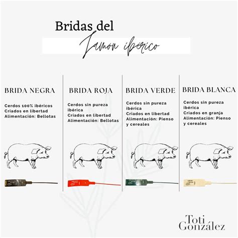 Ejemplo de bridas de jamones con diferentes colores