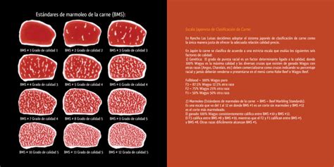 Escala de marmoleo de carne (BMS)