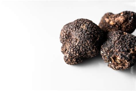 Trufa negra recién recolectada