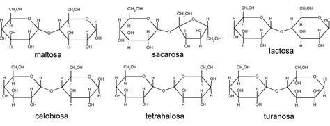 Esquema de la digestión de oligosacáridos en el intestino