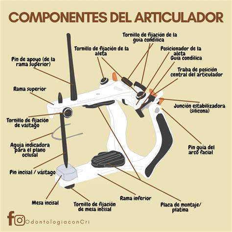 Articulador dental Panadent y sus componentes