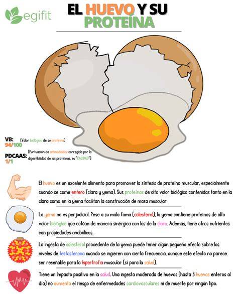 Esquema de las proteínas del huevo y su función alergénica