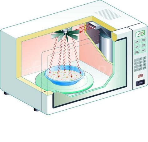 Diagrama de cómo las ondas de microondas calientan las moléculas de agua en los alimentos