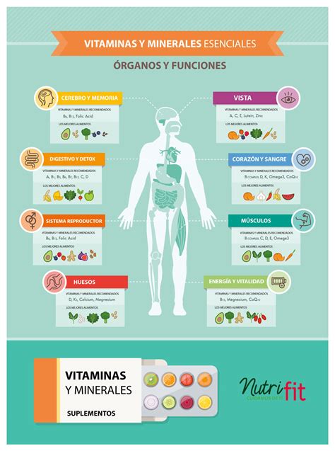 Infografía de vitaminas y minerales presentes en la espelta