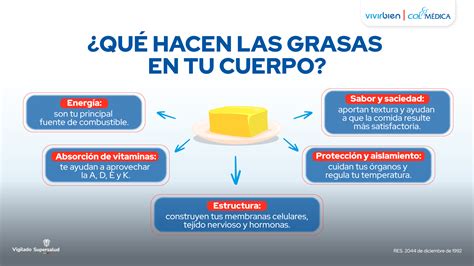 Beneficios y funciones de las grasas en el cuerpo humano