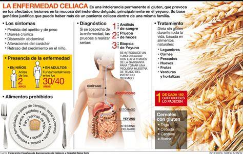 Esquema de los efectos del gluten en el intestino