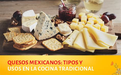 Variedad de quesos para salsas