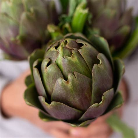 Infografía sobre el contenido de fibra en las alcachofas