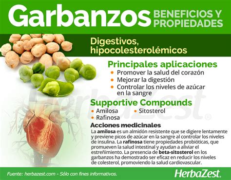 Infografía sobre los beneficios nutricionales de los garbanzos