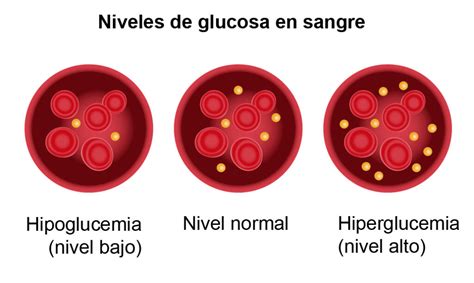 Gráfico de respuesta de glucosa en sangre al huevo frito