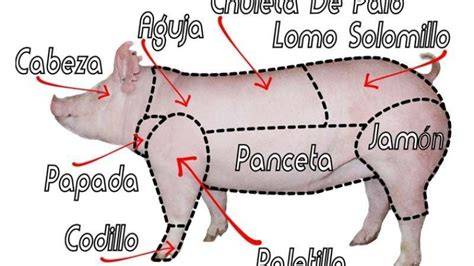 Cortes diagonales en la panza de cerdo