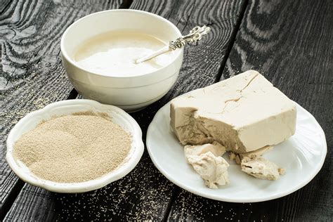 Tipos de levadura de panadero