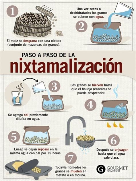 Infografía mostrando los pasos de la nixtamalización