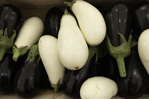 Diferencias entre berenjenas moradas y blancas