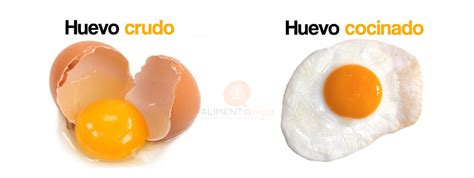 Huevo iluminado con linterna mostrando diferencia entre crudo y cocido