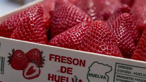 Ilustración de fresas de Huelva