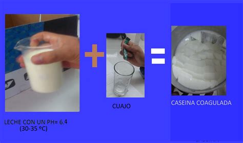 Esquema de la coagulación de la leche con cuajo