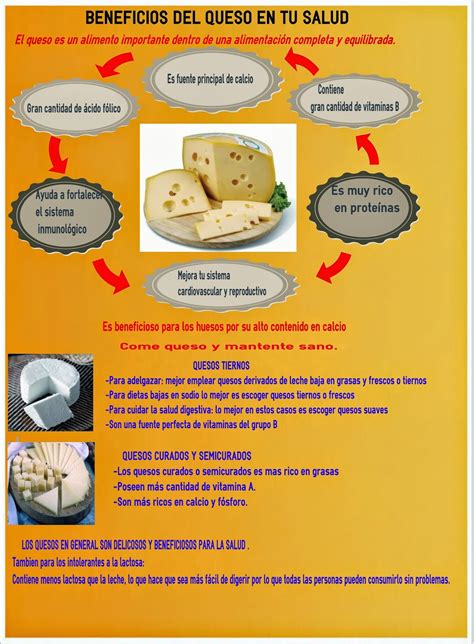 Infografía: Beneficios y desventajas del queso crema