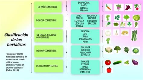 Clasificación de las hortalizas por su origen