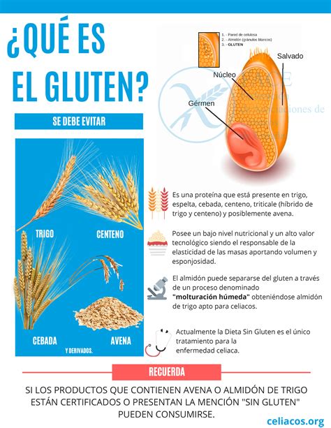 Esquema de la composición del gluten en cereales