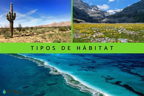 Tipos de bacalao y sus hábitats