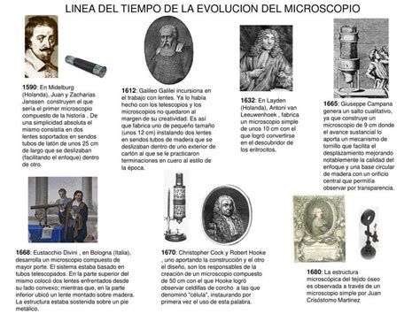 Evolución del kétchup a lo largo del tiempo