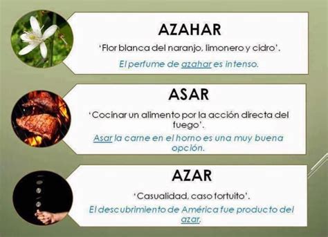 Diferencias entre freír y asar verduras