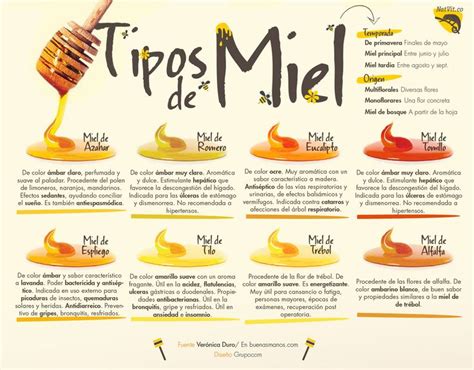 Diferentes tipos de miel y mostaza