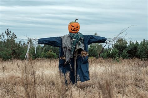 Espantapájaros con cabeza de calabaza decorado para Halloween