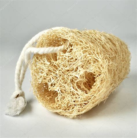 Luffa seca lista para pelar