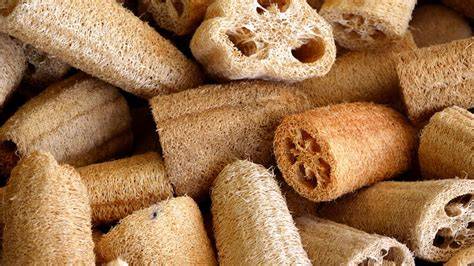 Esponjas de luffa limpias y secas