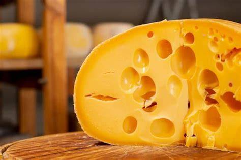 Esquema visual de las diferencias entre un queso con ojos (Emmental) y un queso compacto (Gruyère)
