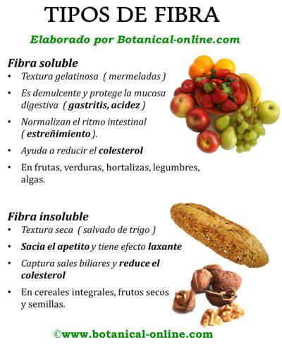 Tipos de fibra y sus fuentes