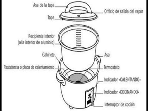 Olla arrocera Oster y sus partes